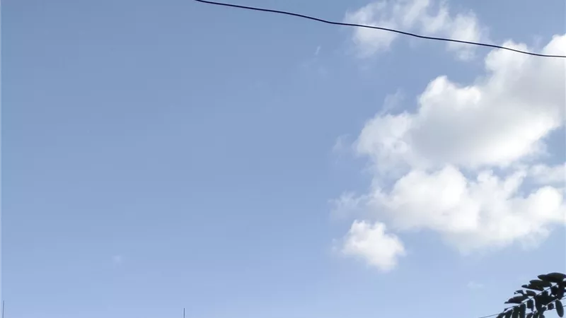 طقس الغربية اليوم.. معتدل نهارا مع نشاط للرياح وبرودة ليلية