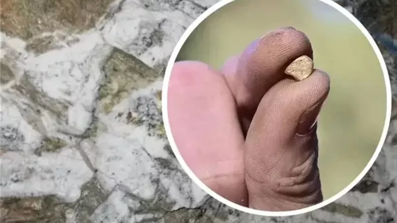 اكتشاف علمي يغير خريطة البحث عن الذهب المدفون 