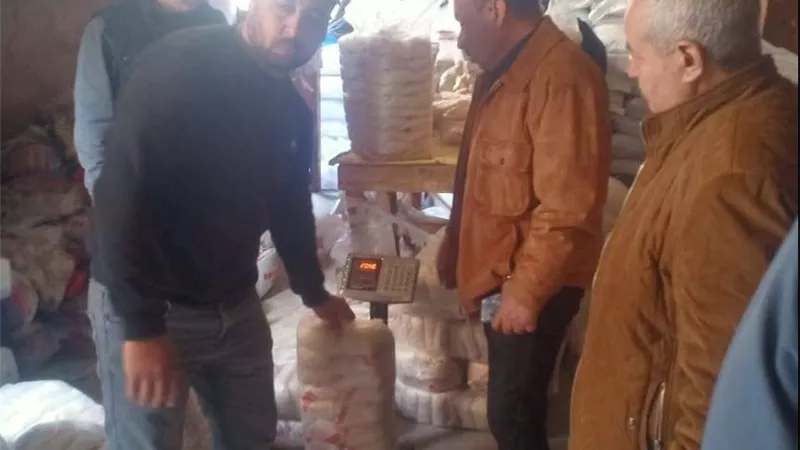 حملات تموينية مكثفة بكفر صقر ومنيا القمح لضبط الأسواق والمخابز