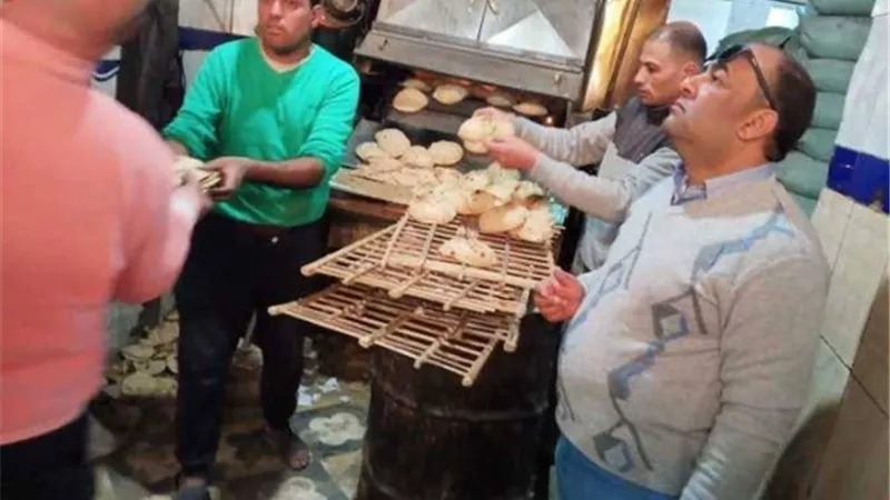 ضبط 239 مخالفة تموينية متنوعة في حملة موسعة بالمنيا