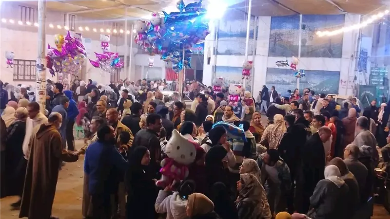 محافظ الدقهلية يشيد بإقبال الناخبين في جولة الإعادة