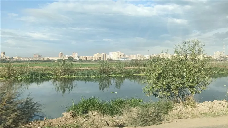 حالة الطقس في البحيرة اليوم.. استقرار درجات الحرارة