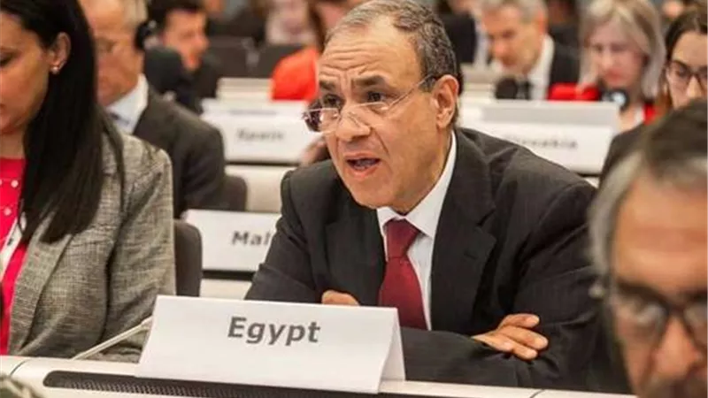 الخارجية: 2025 عام استثنائي من النجاحات الدولية للدبلوماسية المصرية