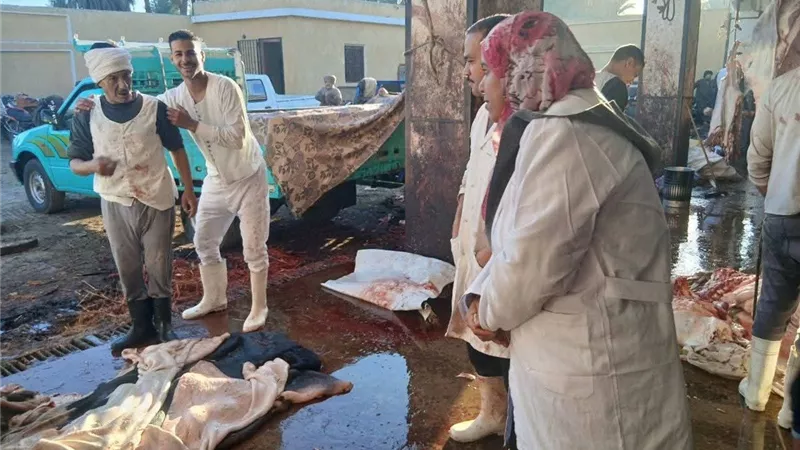 جولة مرورية على إدارة الجلود بمجزر جزيرة شندويل بسوهاج.. تفاصيل