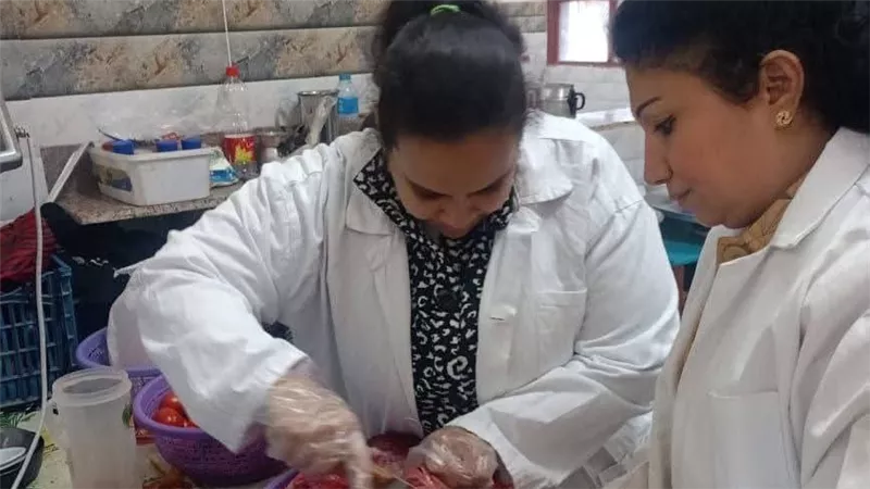 حملة للاطمئنان على اللحوم المقدمة بوجبات مدرسة الأمل للصم والبكم بسوهاج