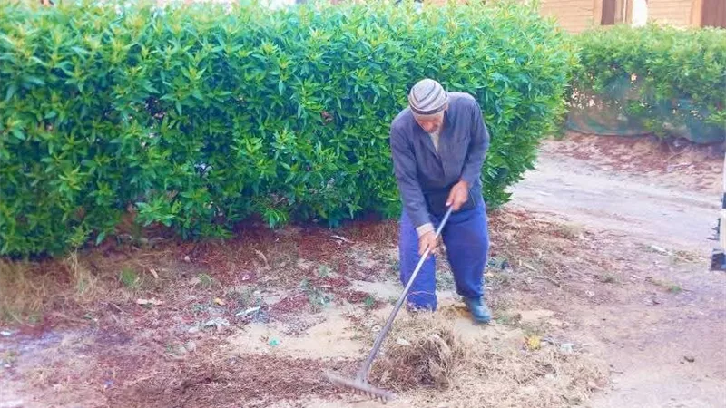 رئيس مدينة مصيف بلطيم يتابع أعمال النظافة والتجميل