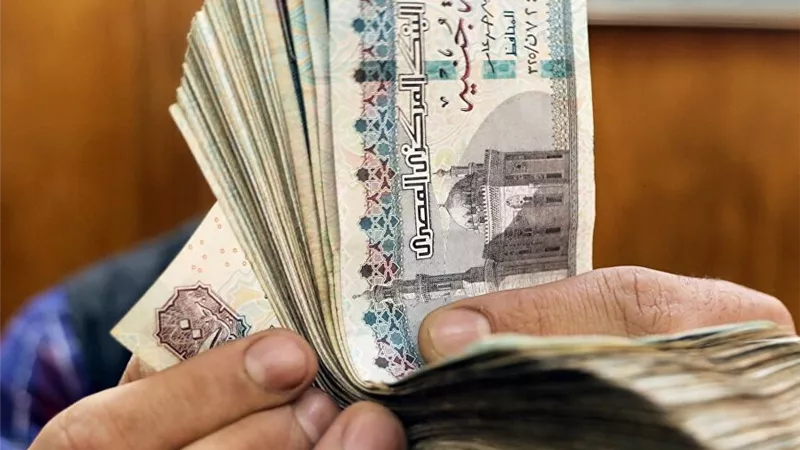 هل نفقة الزوجة العاملة واجبة على الزوج؟.. دار الإفتاء: تسقط في حالة واحدة 