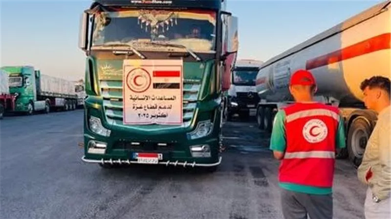 وزراء الشؤون الاجتماعية العرب يشيدون بجهود الهلال الأحمر المصري في دعم غزة