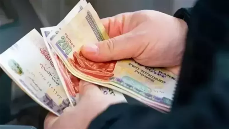 «المالية» تحدد مواعيد وقيم صرف رواتب ديسمبر 2025 للعاملين بالدولة|تفاصيل