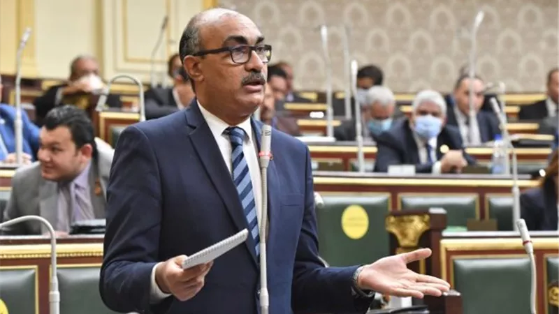 النائب إيهاب منصور: الكلاب الضالة تشكل خطرًا صحيًا وماليًا على المواطنين