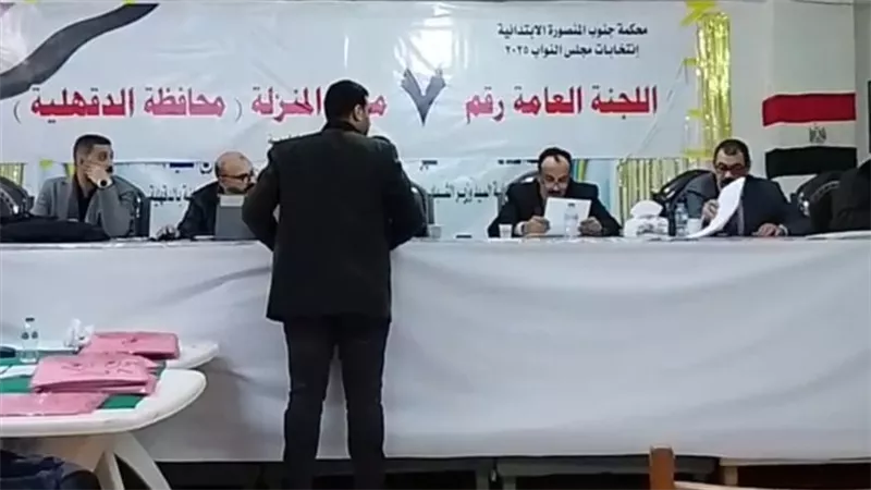 الحصر العددي للدائرة السابعة بالدقهلية في جولة إعادة النواب
