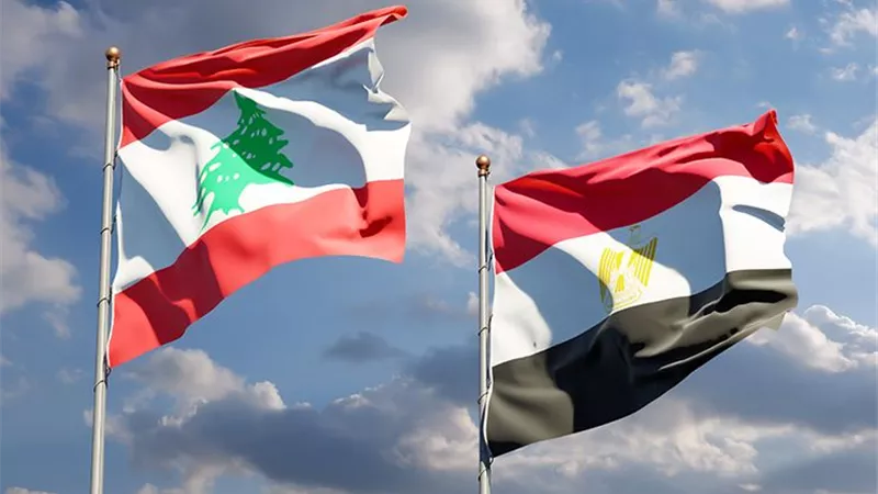 حامد فارس: الصادرات المصرية للبنان تجاوزوت 700 مليون دولار|فيديو
