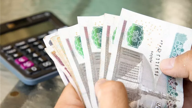 حازم المنوفي: التحول للدعم النقدي خطوة إيجابية بشرط الجاهزية