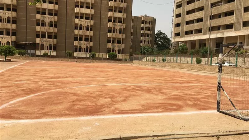 الإمام الأكبر يصدر قرارا عاجلا لطلاب جامعة الأزهر.. تعرف عليه