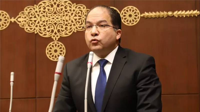عادل اللمعي: مشروعات المنطقة الاقتصادية تؤكد الرؤية الثاقبة للدولة المصرية