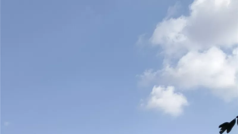الأرصاد: طقس الإثنين شديد البرودة صباحا وليلا