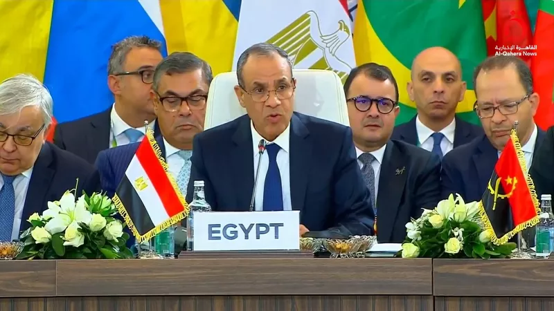 وزير الخارجية: إصلاح النظام الدولي يجب أن يقوم على العدالة والتوازن|فيديو