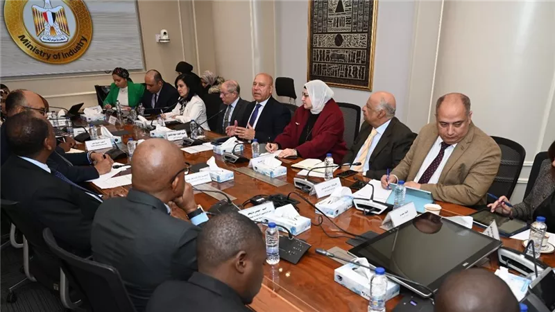 مصر وتنزانيا تبحثان إطلاق مشروعات استراتيجية في النقل والصناعة