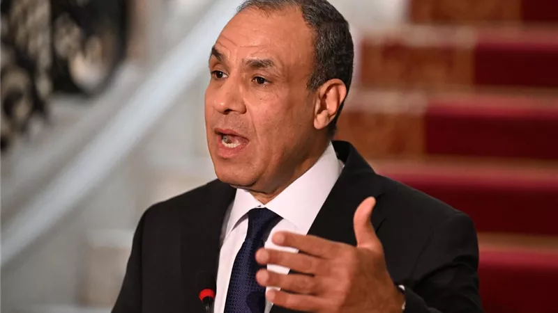 وزير الخارجية: مصر تقود ملف إعادة الإعمار والتنمية في إفريقيا| فيديو