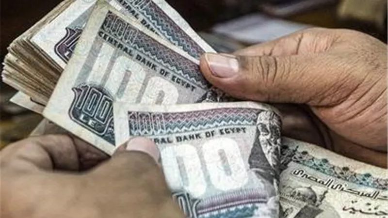 محكمة بني سويف التأديبية تحسم قضية وقف المعاش المخالف