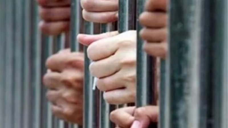 المشدد 20 عاما لـ7 متهمين بحيازة أسلحة نارية وترويع المواطنين بشبرا