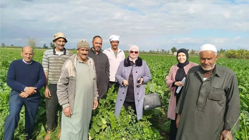 ندوة إرشادية بشربين لدعم مزارعي بنجر السكر ورفع الإنتاجية 