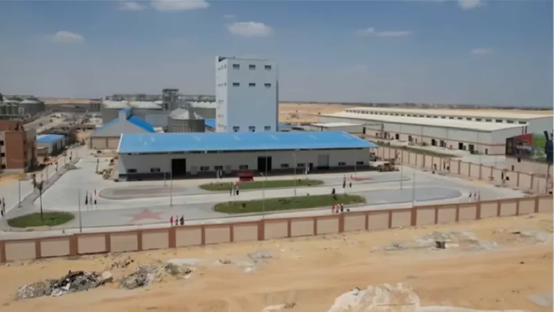 زراعة الوادي الجديد: أعلاف من قلب الصحراء لرفع إنتاج الثروة الحيوانية
