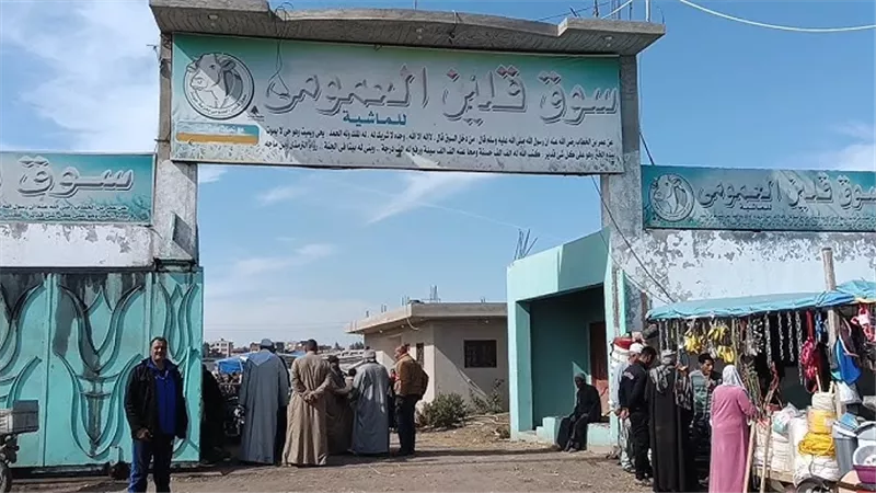 حملة في أسواق قلين.. سقوط 