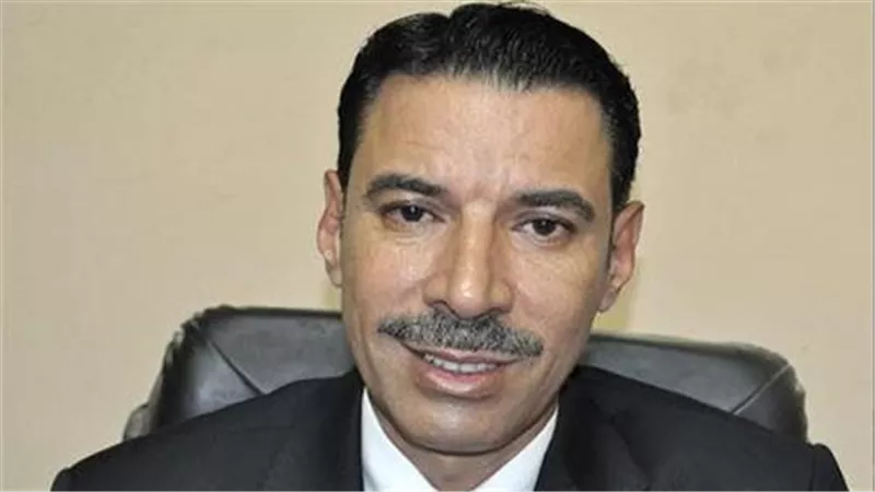 أسعد هيكل: القانون لا يجبر الأحزاب على «الاندماج»|خاص