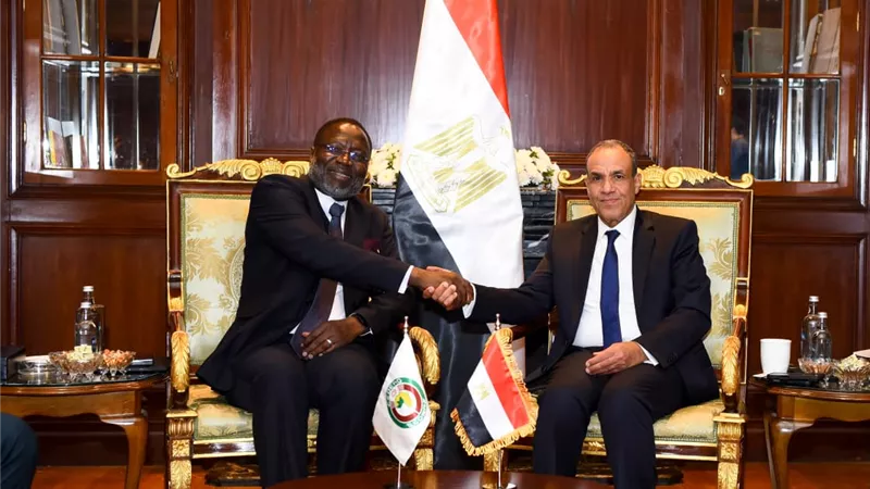 مصر و«الإيكواس».. شراكة استراتيجية لتعزيز السلم والتنمية في غرب أفريقيا