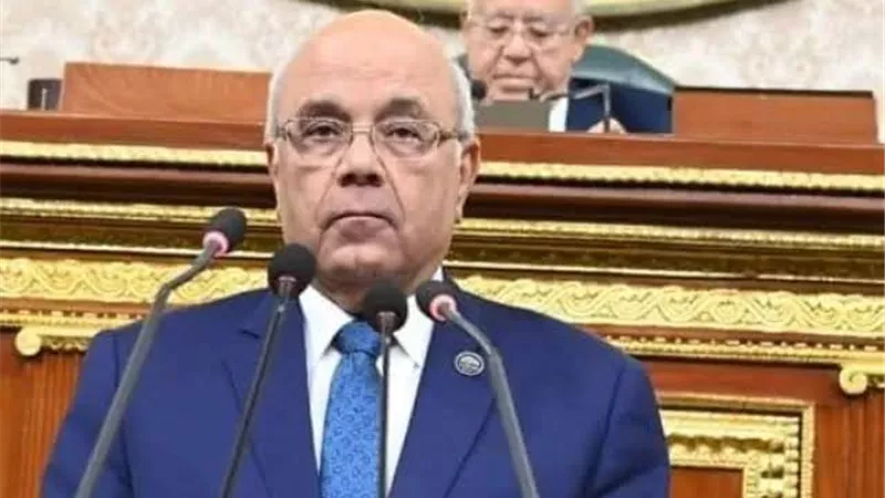 رئيس تجارية القليوبية: التوجه المصري نحو أفريقيا يعزز النمو للقطاع الخاص 