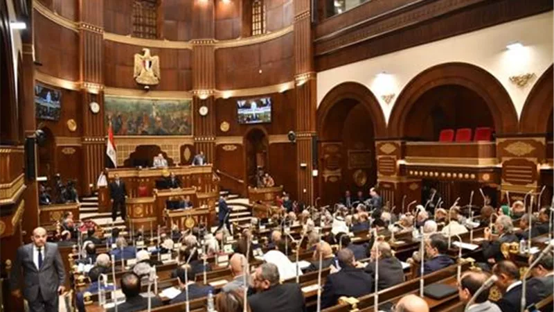 الشيوخ يوافق مبدئيًا على تعديل قانون الكهرباء لتغليظ العقوبات