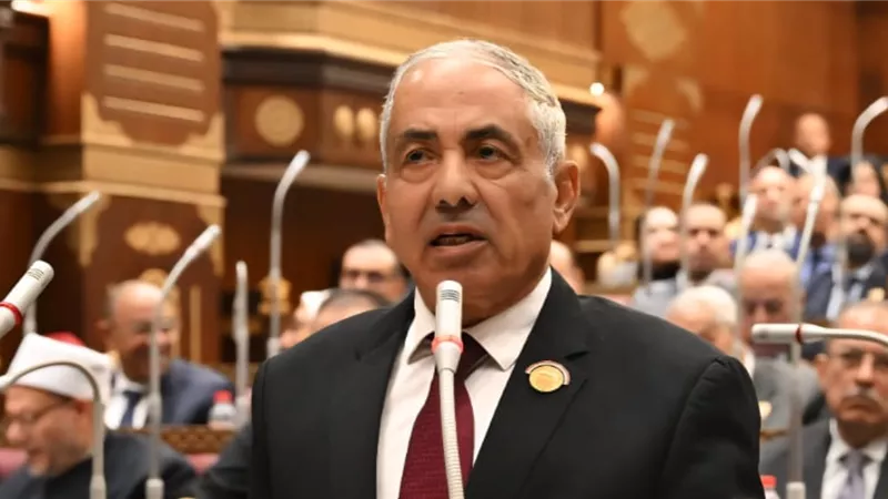 وكيل الشيوخ: تعديل قانون الكهرباء يحافظ على الأمن القومي