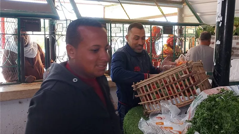 مديرية التموين بالوادي الجديد تدشن مجمعا استهلاكيا بمبنى الجهات الحكومية