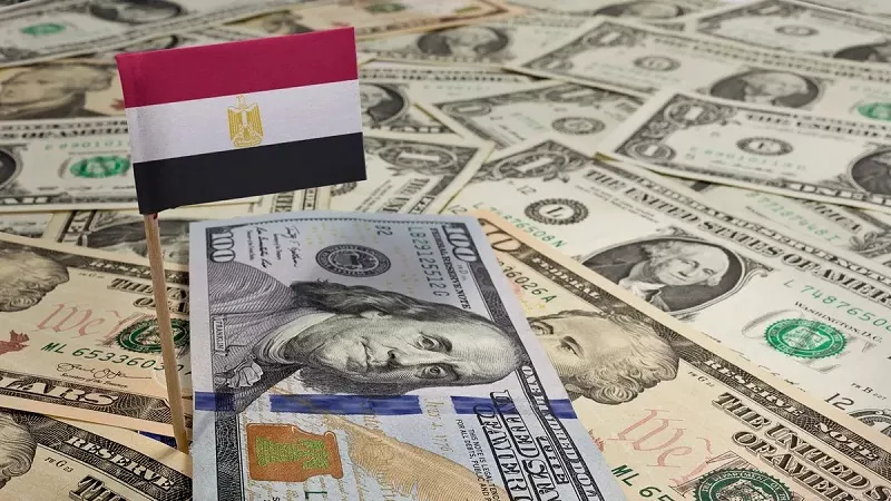 طارق حلمي: مرونة سعر الصرف تحمي الاحتياطي النقدي وتحد من المخاطر