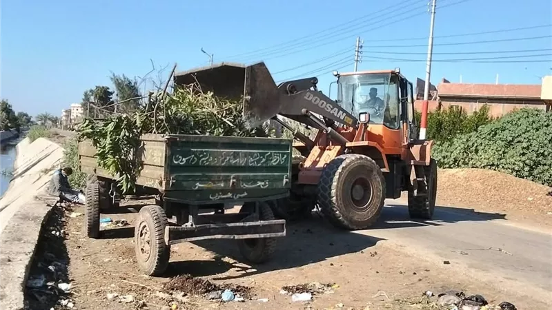حملات نظافة ورفع قمامة وتقليم أشجار بمركز ومدينة دسوق في كفر الشيخ