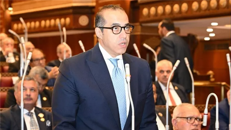 محمود فوزي: غياب التنظيم وعدم وضع ضوابط واضحة يؤدي للفوضى