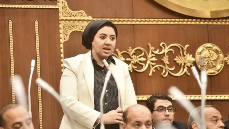 أميرة صابر: رفضت قانون الكهرباء دفاعًا عن جوهر التشريع الرشيد