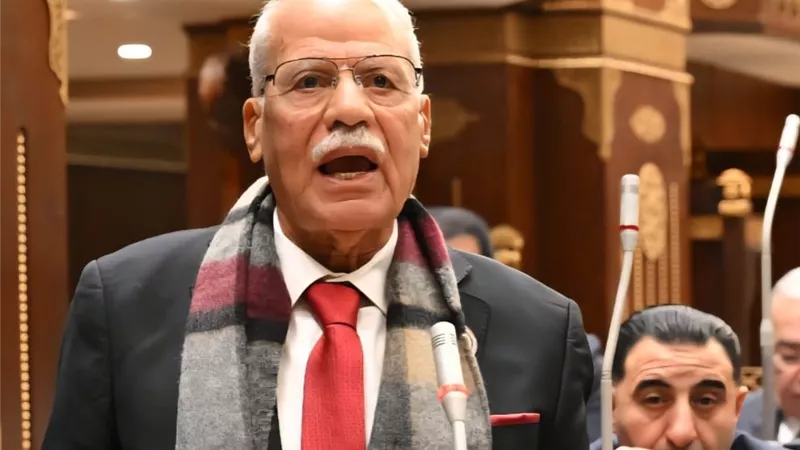 محمد أبوالعلا: استقلال القرار ركيزة السياسة الخارجية لمصر 