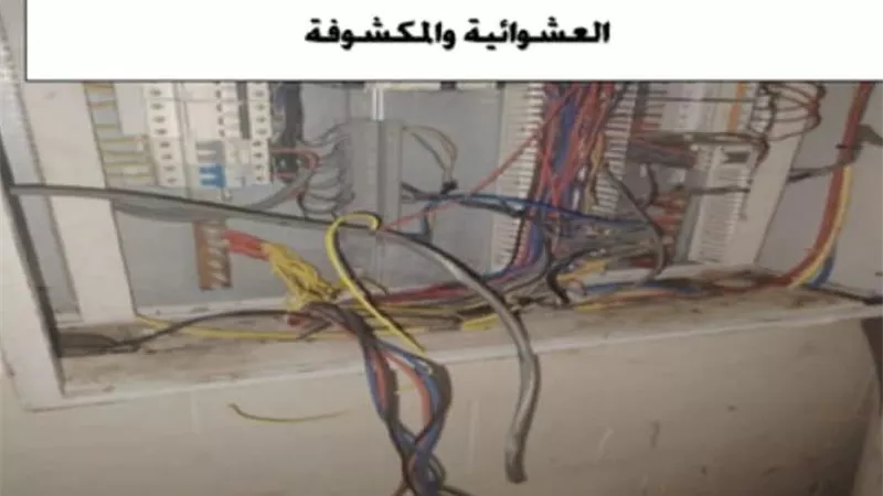 وزارة البترول: ضبط تهريب المنتجات وتعزيز الرقابة على المصانع والمحطات