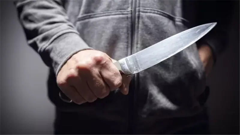 إعادة قصة قابيل وهابيل.. شخص يقتل شقيقه خلال مشاجرة بأسوان