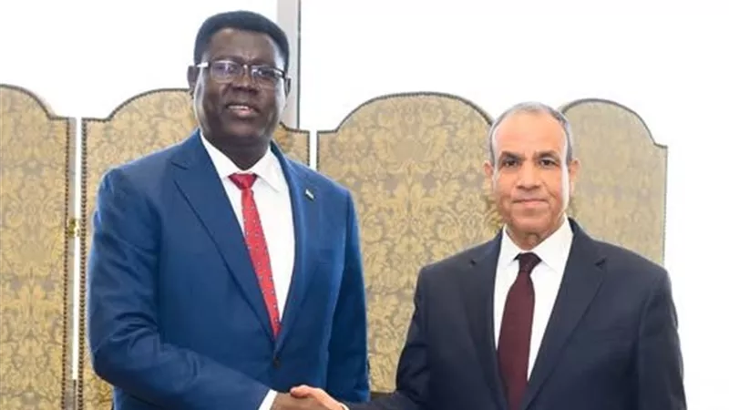 وزير الخارجية يتسلم رسالة خطية للرئيس السيسي من سلفاكير 