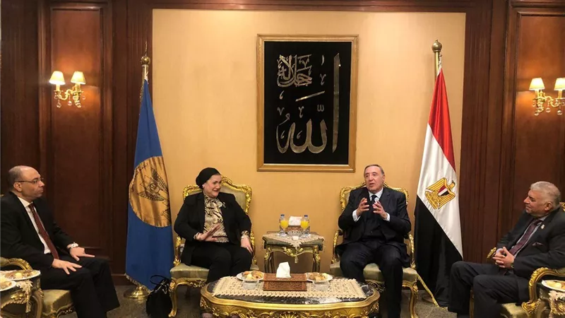 سحر السنباطي: تكامل مؤسسي مع المحكمة الدستورية لتعزيز حماية حقوق الأطفال