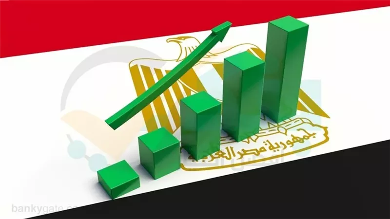 على الطحاوي: 2026 عام استقرار الاقتصاد وليس قفزة القوة الشرائية