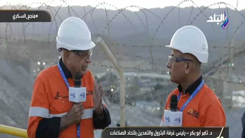 مصر تمتلك 34 معدنًا وتفتح آفاقا جديدة للاستثمار في قطاع التعدين|فيديو