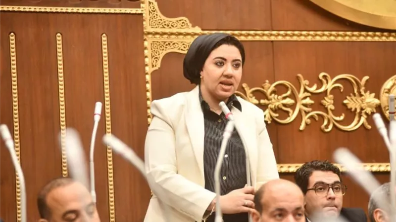 نائبة تنسيقية الشباب: لماذا نغلظ العقوبة بدل منع سرقة الكهرباء من المنبع