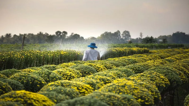 بلال شعيب: الاستثمارات الزراعية في حوض النيل ذات أبعاد سياسية واقتصادية