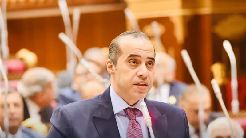 ماذا قال وزير الشئون النيابية عن مشروع قانون الكهرباء؟