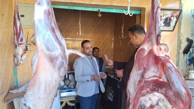 محافظ أسوان يتابع جهود الطب البيطري والحملات الرقابية 