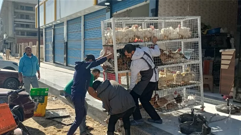 حملة مكبرة لرفع الإشغالات والتعديات على أملاك الدولة بحي ثالث الإسماعيلية